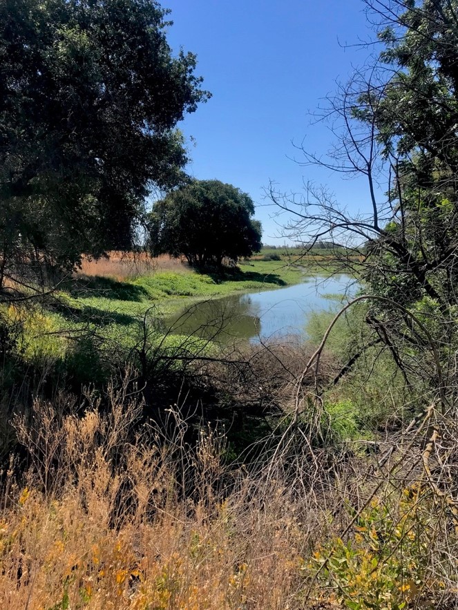 Waldo Holt Preserve